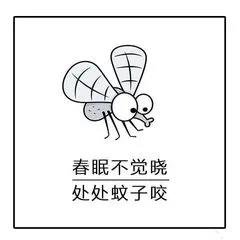 晚上睡覺蚊子嗡嗡叫？只需幾招，就能把蚊子團(tuán)滅！